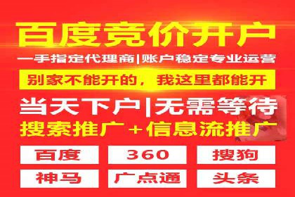 某公司网站sem托管项目纪实
